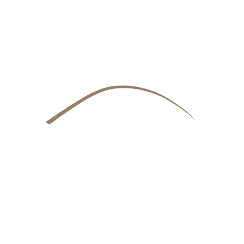 micro precision eyebrow pencil - 01 Light Blondes