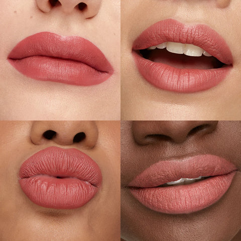 velvet passion matte lipstick - 316 Vintage Rose
